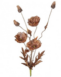 22" AUTUMN POPPY SPRAY