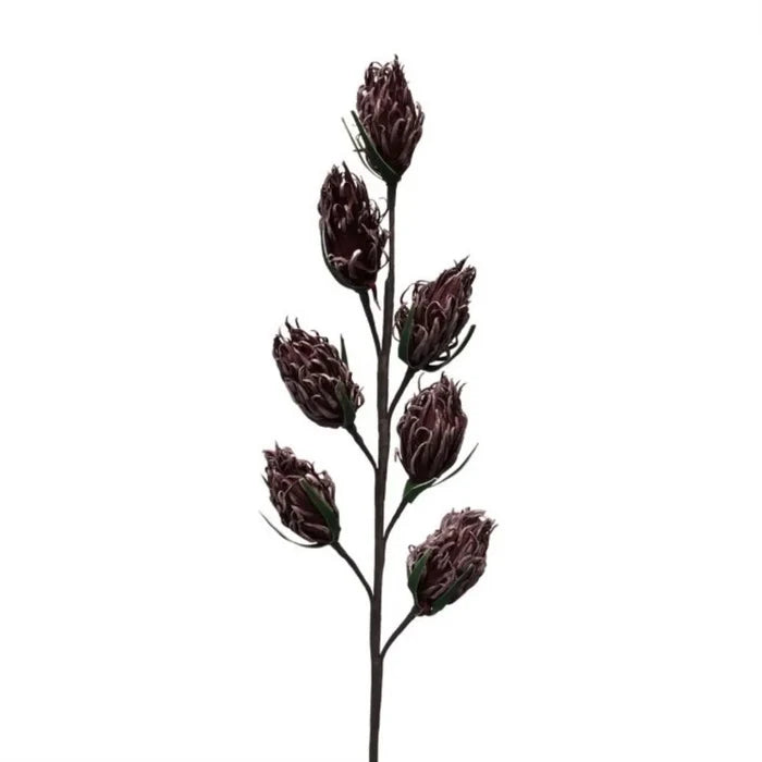 30" Thistle Pod Spray Plum