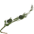 40" Double Nest Moss Vine