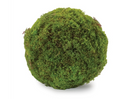 7" Moss Orb