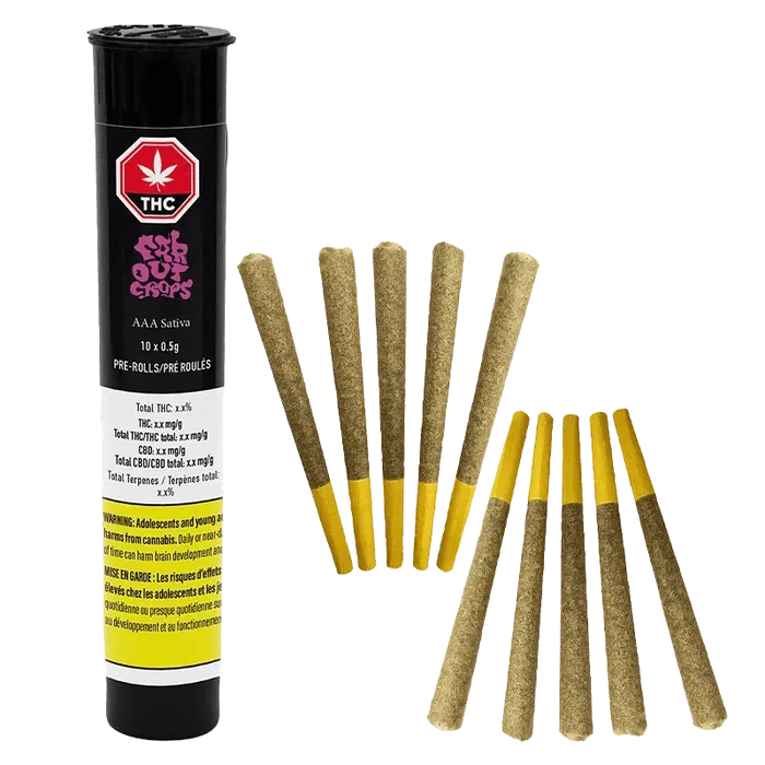 AAA Pre Rolled 10 x 0.5 g pre-rolls displayed in a close-up, showing the branded packaging and cylindrical roll shape.