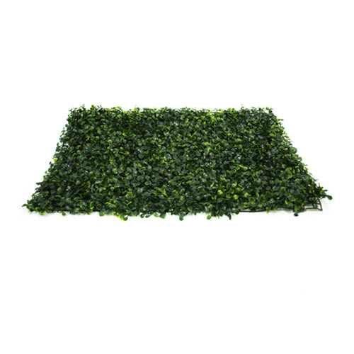 Artificial Grass Wall Panels - Box of 12 Tiles