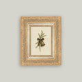 Bell with Pine Framed Antique Art