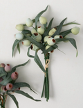 BERRY BUSH
