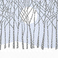 Boston International Cocktail Napkins: Winter Solstice