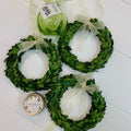 Boxwood Wreath - 8"