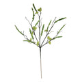 Budding Wisteria Branch - Green
