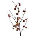 Canadian Berry Pod Spray