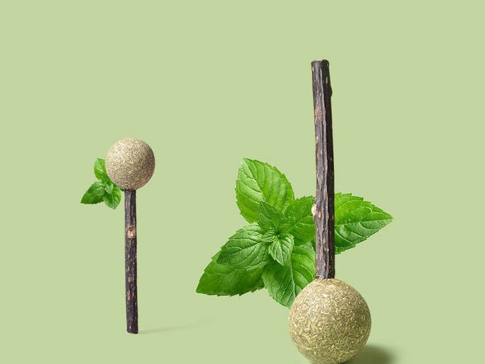 Gadget Gerbil Green Catnip Cat Toy Lollipop