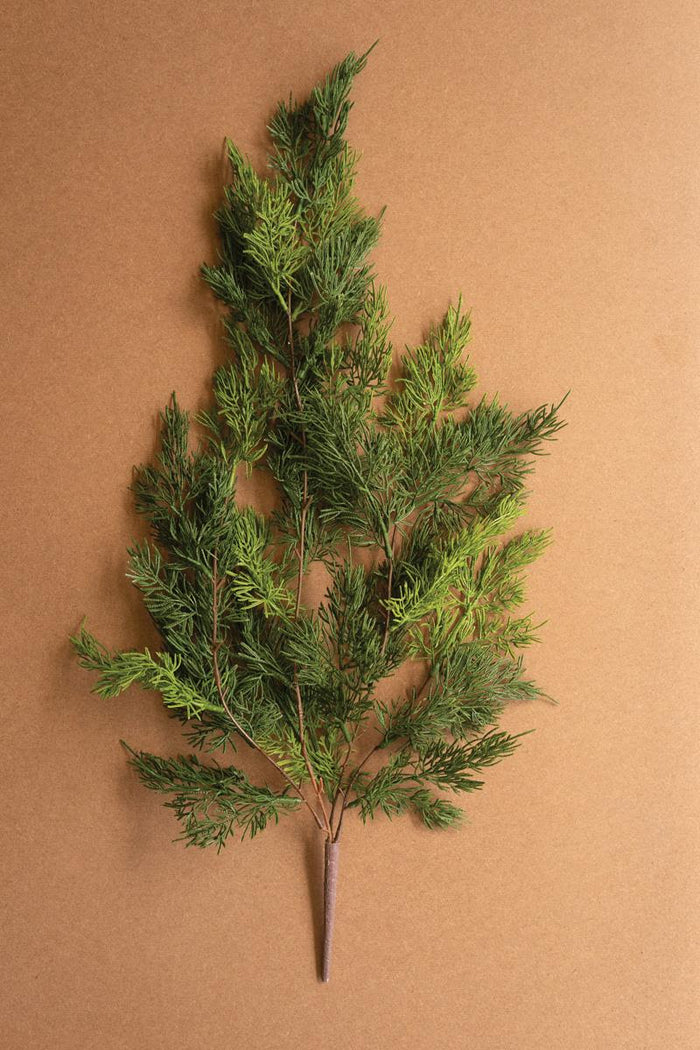 Cedar Spray