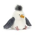 Chip Seagull