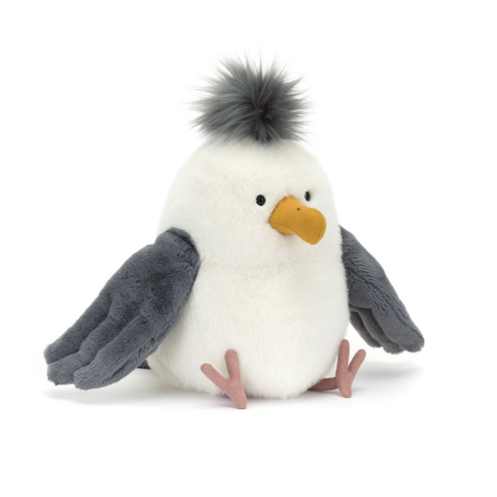 Chip Seagull