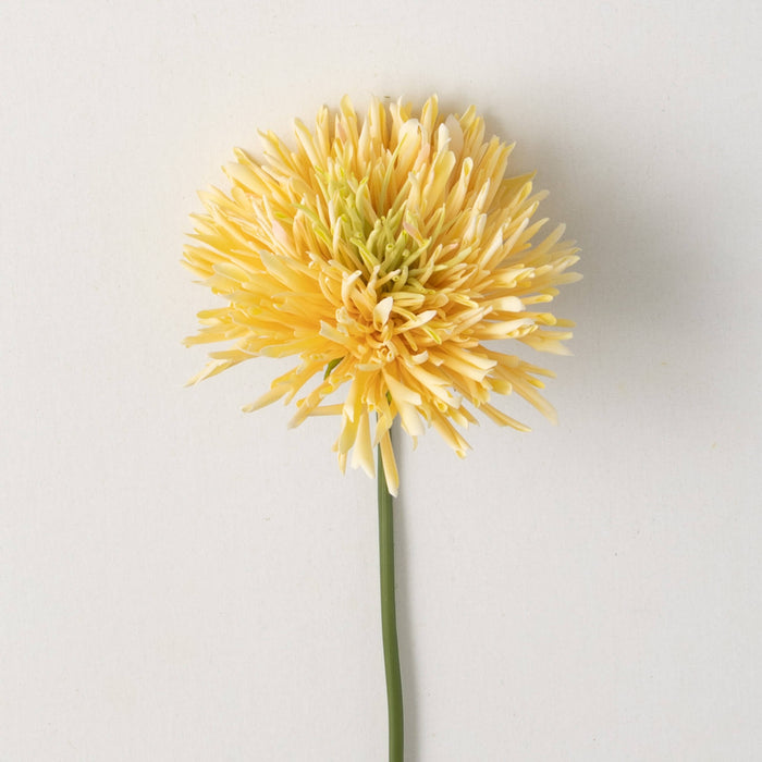 Chrysanthimum Spray