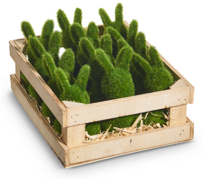 crate of bunnies