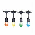 Cyber Tech Lighting SL-24RGB 24ft RGB String Light w/ Color Changing Remote incl. 12 LED S14 Lamps - Ready Wholesale Electric Supply and Lighting