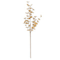 Dark Yellow Eucalyptus Stem