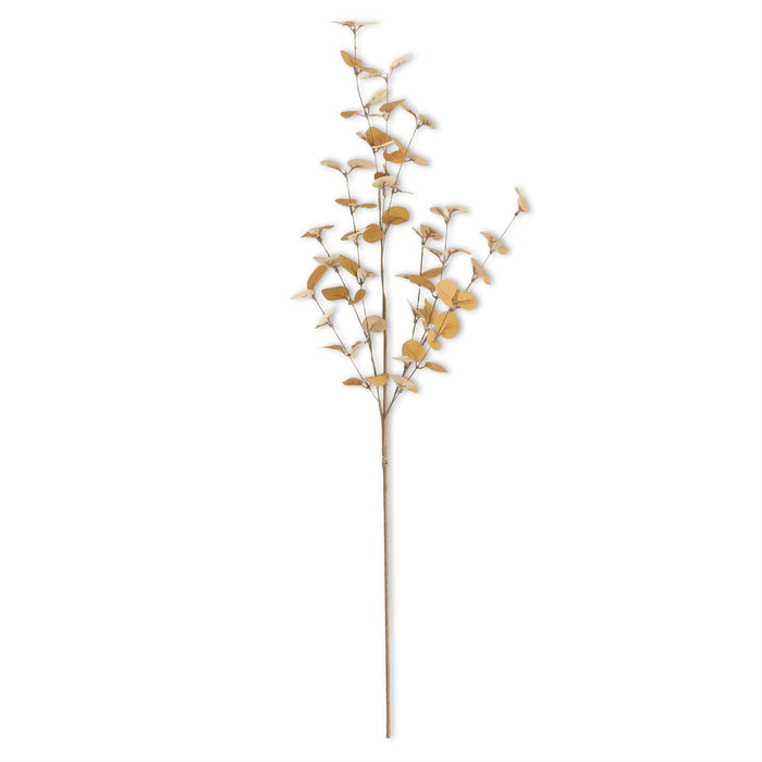 Dark Yellow Eucalyptus Stem