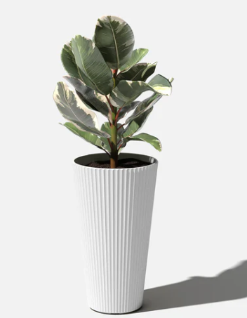 Demi Tall Planter- 26"