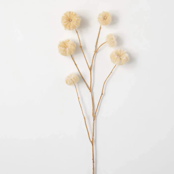 Dried Pod Spray