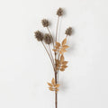 DRIED THISTLE SPRAY