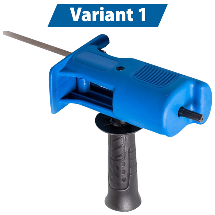 Variant 1