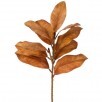 Fall Magnolia Spray - Toffee