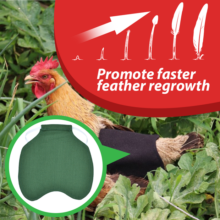 FowlCare Chicken Protection Apron