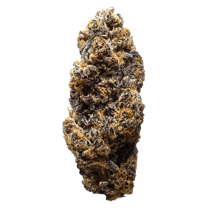 Frozen Cola presents a close-up, angled view of a textured, frosty surface resembling crystallized cola, set against a plain white background.