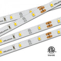 GM Lighting LTR-E Econo Series Indoor LED Tape 24VDC 1.5W - Ready Wholesale Electric Supply and Lighting