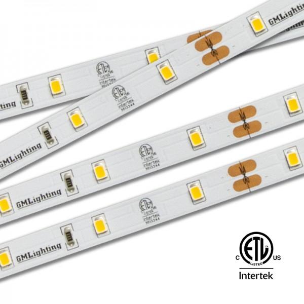 GM Lighting LTR-E Econo Series Indoor LED Tape 24VDC 1.5W - Ready Wholesale Electric Supply and Lighting