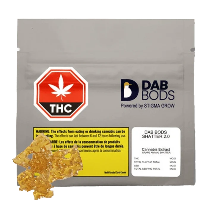 Close-up of Grape Animal Shatter 2.0, a translucent, amber-colored concentrate against a dark background.