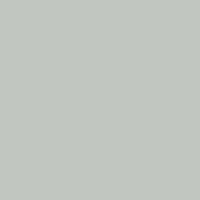 Shop the paint color CC-670 Gray Wisp by Benjamin Moore at Anderson Paint Company in Ann Arbor, Michigan.