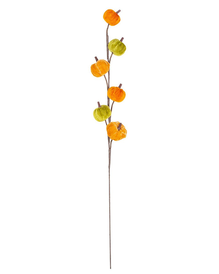 Green and Orange Pumpkin Stem