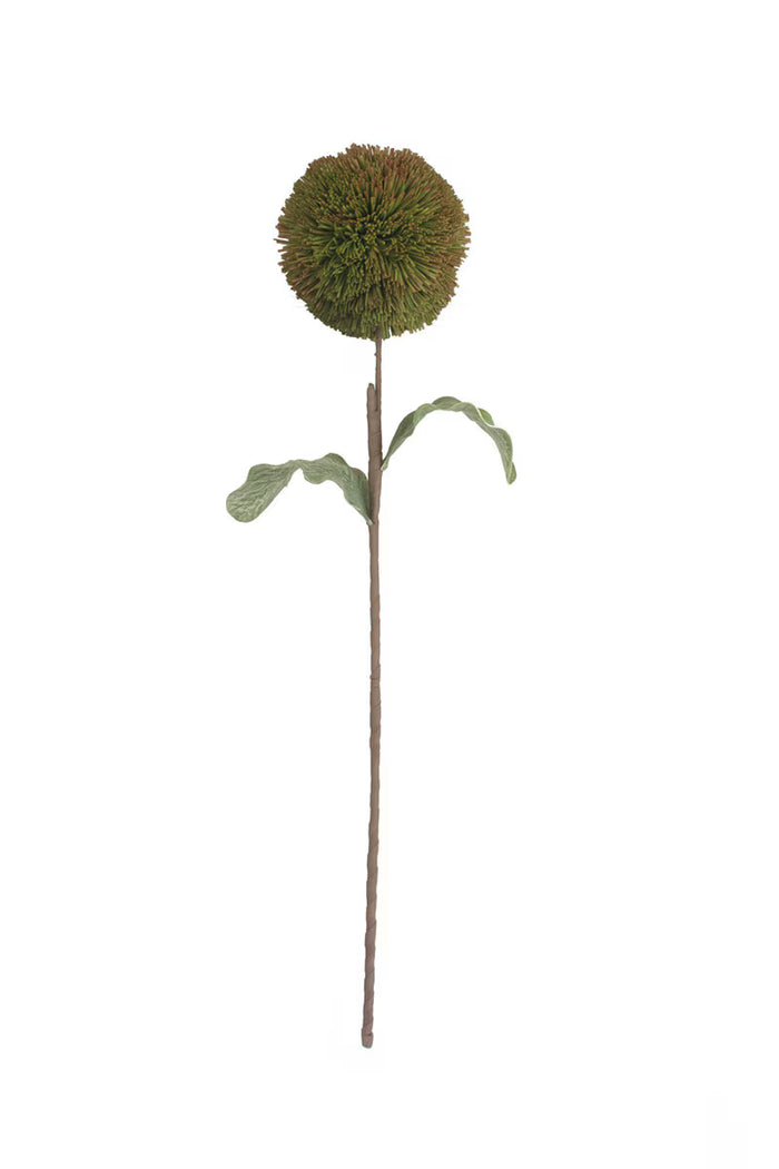 Green Thistle with Mauve Tips