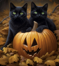 Halloween Cats