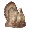 Harvest Turkey