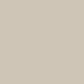 Shop the paint color CC-460 Inukshuk by Benjamin Moore at Anderson Paint Company in Ann Arbor, Michigan.