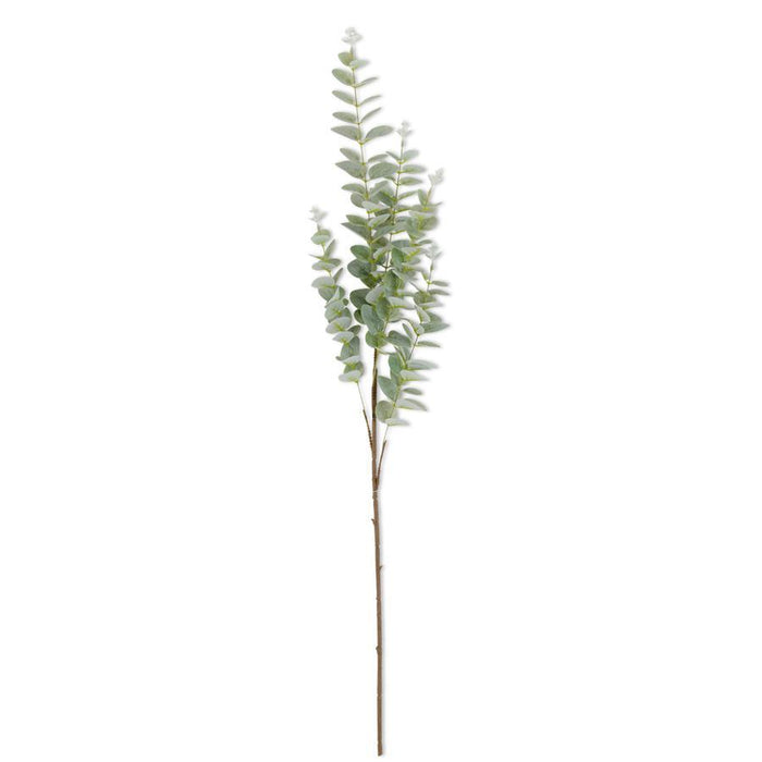 Light Green Gunnii Eucalyptus Stem 38 Inch