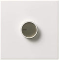Lutron C-2000 Centurion 2000W, Single Pole, Incandescent / Halogen Dimmer - Ready Wholesale Electric Supply and Lighting