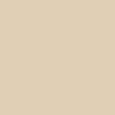Shop the paint color CC-430 Moccasin by Benjamin Moore at Anderson Paint Company in Ann Arbor, Michigan.