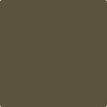 Shop the paint color CC-662 Night Owl by Benjamin Moore at Anderson Paint Company in Ann Arbor, Michigan.