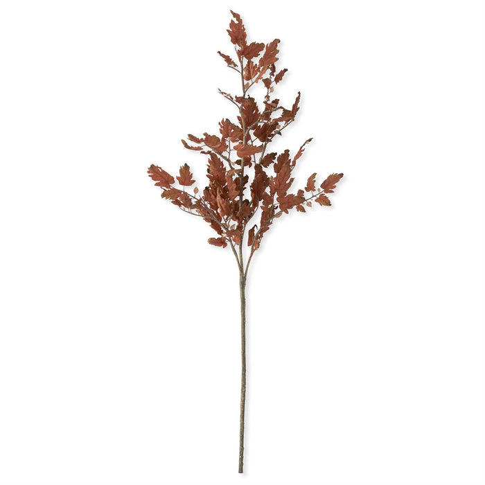 Oak Branch