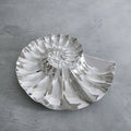 Ocean Nautilus Spiral Dip