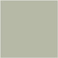 Shop the paint color CC-550 October Mist by Benjamin Moore at Anderson Paint Company in Ann Arbor, Michigan.