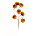 Orange Pumpkin Stem