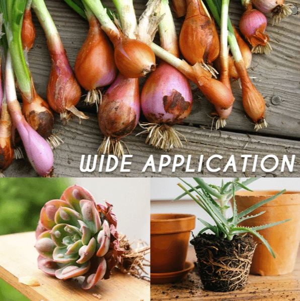 Organic Rapid Rooting Powder