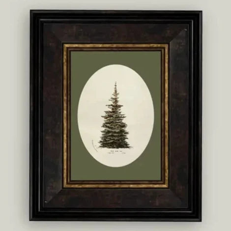 Oval Matte Tree Framed Antique Art