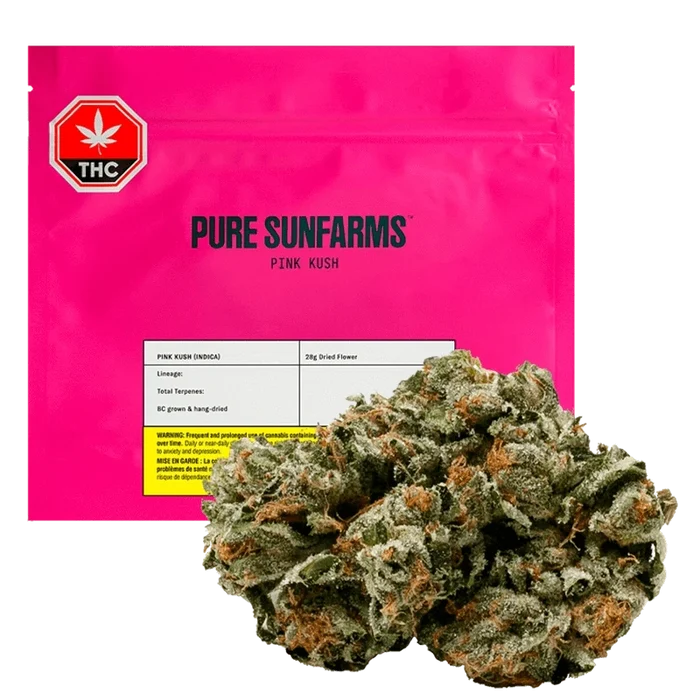 Close-up of the Pure Sunfarms Pink Kush, a vibrant bud with a slightly shadowed, textured surface.