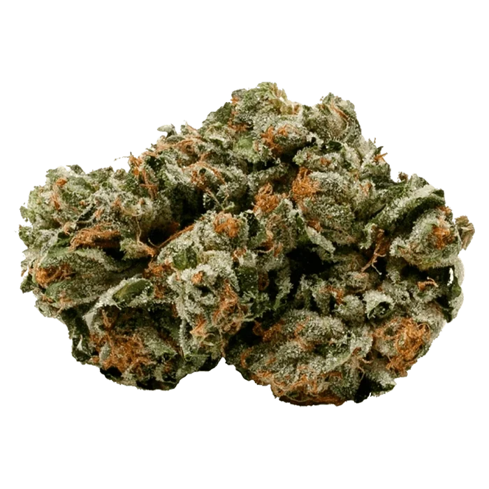 Close-up of the Pink Kush flower with visible bud structure and details, shot against a plain white background.