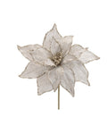 Poinsettia Stem